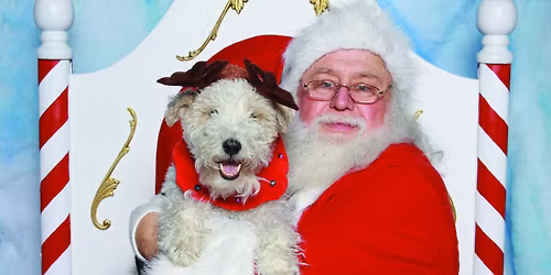 Wag Your Tail Wednesday