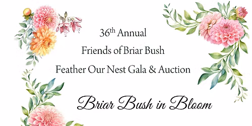 Feather Our Nest Gala 2026: Briar Bush in Bloom