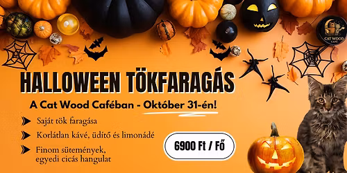 Halloween T\u00f6kfarag\u00e1s a Cat Wood Caf\u00e9ban!