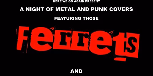 Ferrets Xmas Special