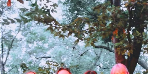 The Moose \/\/ Thimastr \/\/ Flora From Kansas