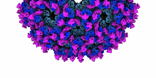 GSEM Fun Day Registration for "Making Their Mark" | art + science exhibit