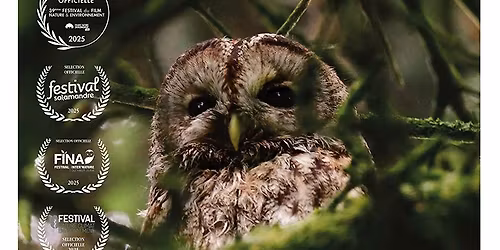 Projection | Un autre regard de Jim Leblais