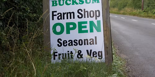 Pop Up Producers- Cornfield Bakery