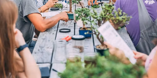 Bonsai Workshop at Valor Wines
