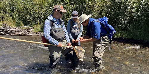 Stream Sampling on Whychus Creek (Thursday, August 6th)