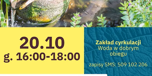 Zak\u0142ad cyrkulacji \u2013 woda w dobrym obiegu \ud83d\udca7