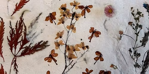 Papermaking-Workshop Berlin: Papiersch\u00f6pfen mit Blumen