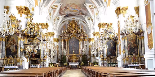 \u00d6ffentliche F\u00fchrung: Stadt der Kirchen - Studienkirche Mari\u00e4 Himmelfahrt