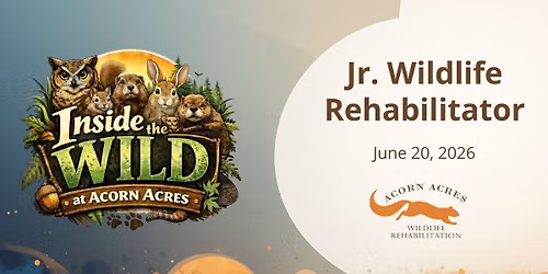 Jr. Wildlife Rehabilitator - Inside the Wild at Acorn Acres