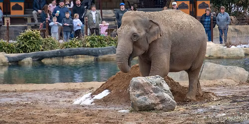 Hamilton County Days