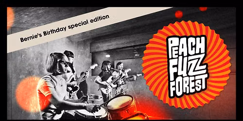 The Peach Fuzz Forest Vol. 22