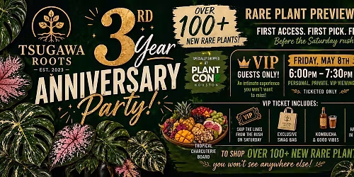 \ud83c\udf3f TSUGAWA ROOTS 3 YEAR ANNIVERSARY - VIP NIGHT \ud83c\udf3f