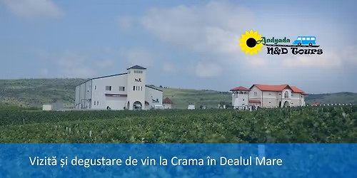 NOU! Vizita si degustare de vin la Crama din Dealul Mare