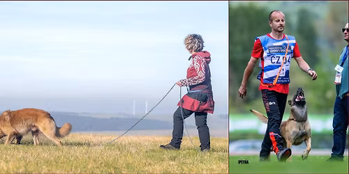 \u00danorov\u00fd v\u00edkend - stopy + poslu\u0161nost 2026