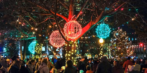 Tree Lighting Ceremony