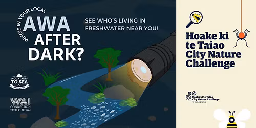 Awa After Dark: Spotlighting in Central Park