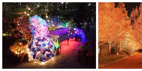 11\/16(\u65e5)\u7d05\u8449\u30cf\u30a4\u30af+\uff97\uff72\uff84\uff71\uff6f\uff8c\uff9f\uff0f\u795e\u6238\u5e02\u68ee\u6797\u690d\u7269\u5712