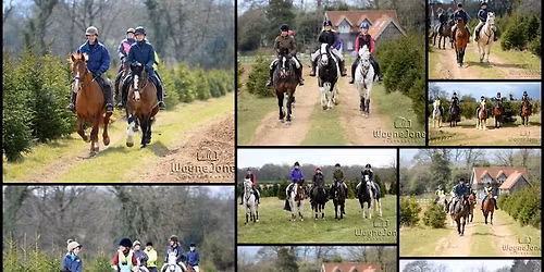  Chiltern Ride at the Christmas Tree Barn, Christmas Common, OX49 5HG