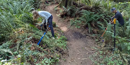 Lord Hill: Erratic Trail Maintenance (Come & Go)