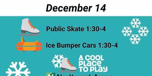 Public Skate and Ice Bumper Car-Sunday