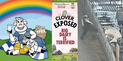 Meetup: Clover Exposed! Big Dairy is Terrified