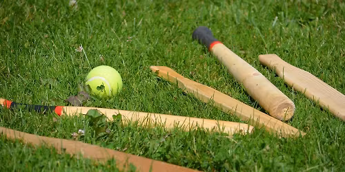 Br\u00e4nnboll p\u00e5 Furuvi