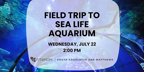 Field Trip | Sea Life Aquarium