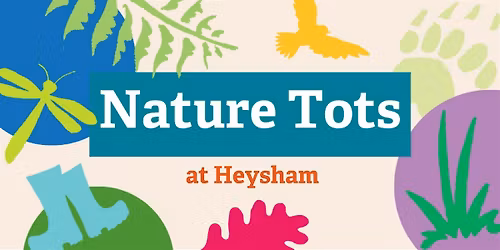 Nature Tots at Heysham Nature Reserve