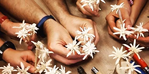 Atelier "Edelweiss" !