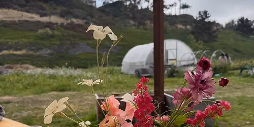 May 23, 2026 - Local Flower Arranging 101 Workshop + Farm Tour