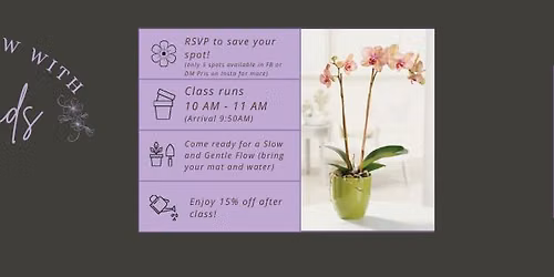 Gulf Orchids - Slow Flow