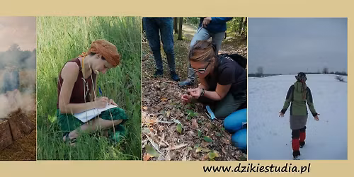 Dzikie Studia - kurs roczny 2026\/27