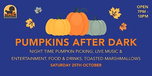 Pumpkins After Dark