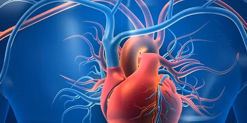 Cardiovascular Disease\/Stroke Recognition Presentation with Paramedic Shannon