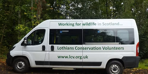 Humbie Woods 3 Jan: Woodland Maintenance and Rhododendron Control