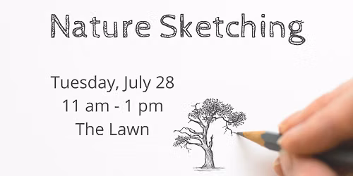 Nature Sketching on the Lawn