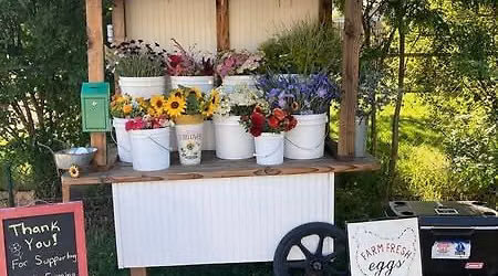 Flower Stand