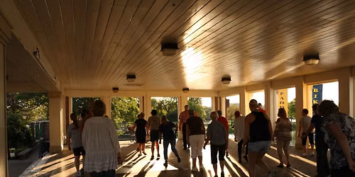 Dancing at Harry's Place - Line