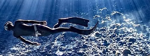 NoTanx Freediving - Kensington Tuesday Session