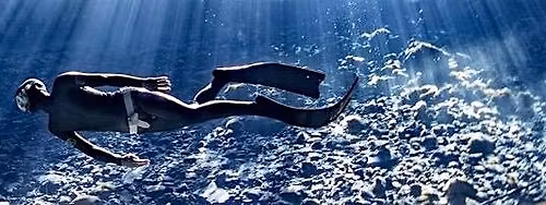 NoTanx Freediving - Kensington Tuesday Session