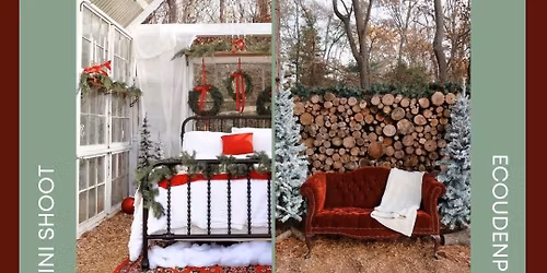 Christmas Mini Nov 28th