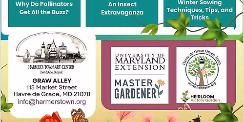 Art of Gardening: Why Do Pollinators Get All The Buzz?