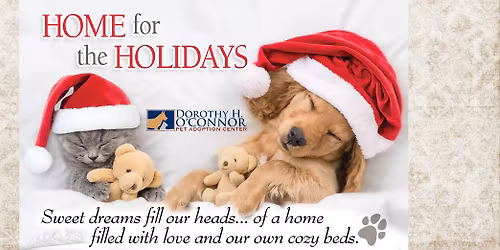 Home for the Holidays