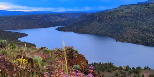 Creator's Christmas Sale, Juniper Canyon Artisans