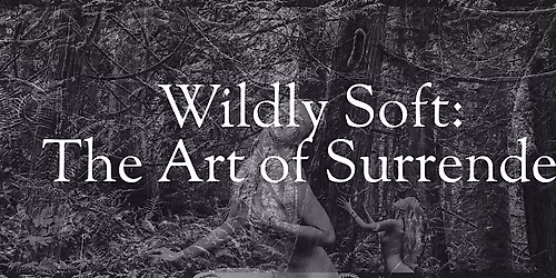 Wildly Soft: The Art of Surrender