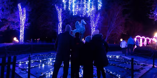 Winter Wonder Lights - Sensory Friendly Hour