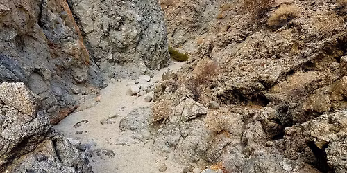 Who Made That Hole? Randall Henderson Interpretative Hike