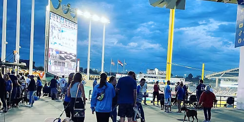 Bark at the Park ~Kansas City Royals 2026