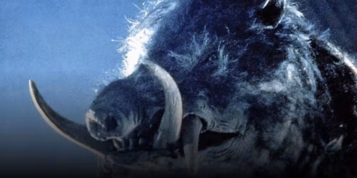 Film: Razorback | Dark Mofo 2026